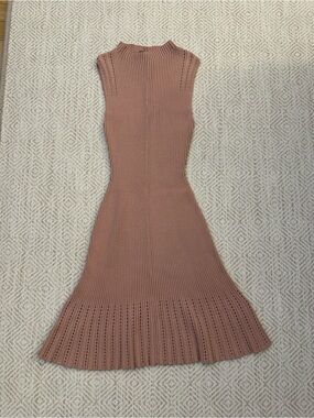 Club Monaco Ribbed Sleeveless Knit Dress in Dusty Rose